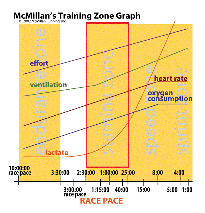 McMillanTrainingZoneGraph - Stamina