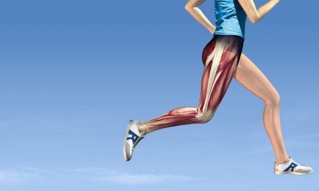 Hông của runner và chấn thương - BoiDapChay.com